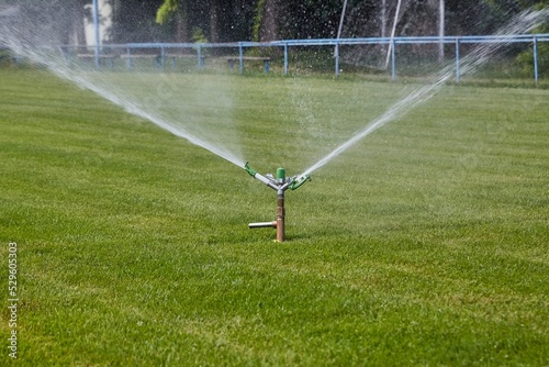 Garden sprinkler watering