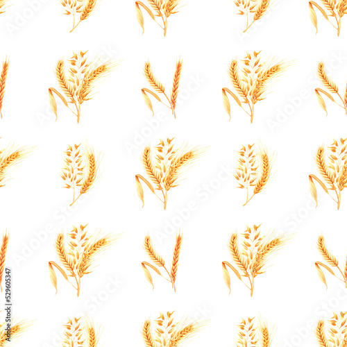 Hand drawn watercolor yellow dry spike seamless pattern on white background. Scrapbook design  typography poster  label  banner.