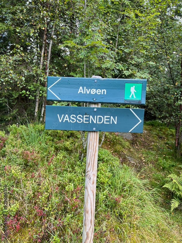 Hking Trial Alvøen Forrest Bergen Norway Hking Trial Alvøen Forrest Bergen Norway
