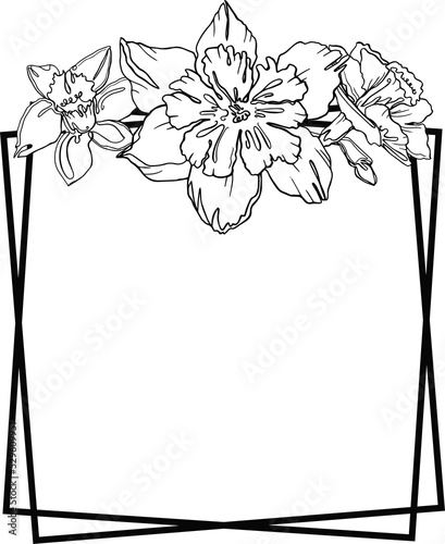 Fototapeta Naklejka Na Ścianę i Meble -   Frame flower  hand drawn.  Narcissus. Illustration plants for wedding design, logo and greeting card. PNG
