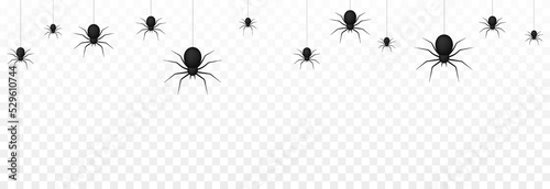 Vector spiders on an isolated transparent background. Background with spiders for design. Spiders PNG. Spiders hang on poutine PNG. Background for Halloween.