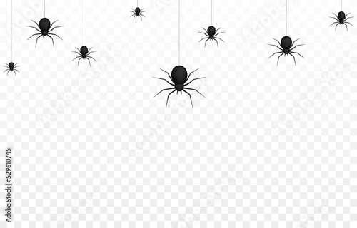 Vector spiders on an isolated transparent background. Background with spiders for design. Spiders PNG. Spiders hang on poutine PNG. Background for Halloween.