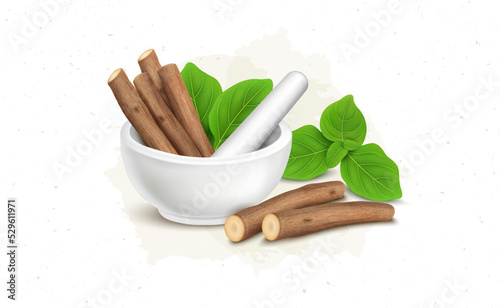 Ashwagandha shrub dry sticks with green leaves in Marble Mortar or ayurvedic crusher vector illustration