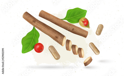 An ayurvedic herb ashwagandha dry stem with shrub berries and capsule vector illustration
