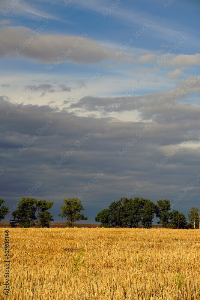 Rural landscape scene. Horizon and space. Beautiful clouds over a compressed field