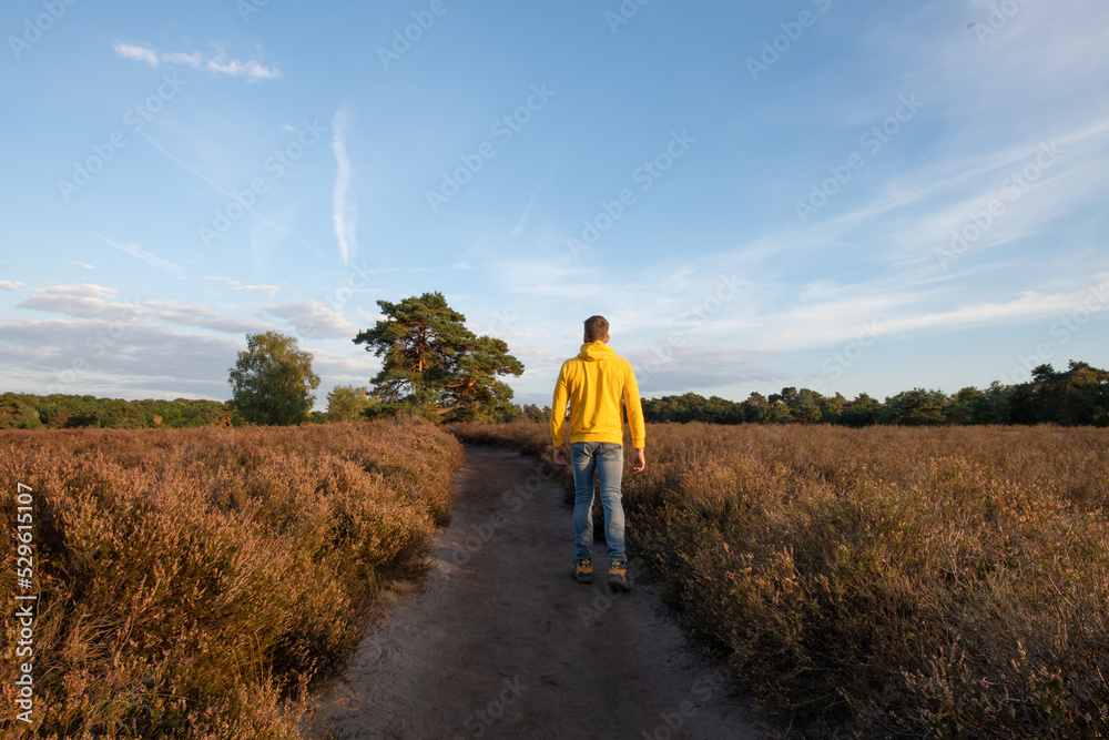 Geschwungener Weg im Regen, bunter Sonnenschirm spiegelt sich in einer Pfütze Geschwungener Weg im Regen, bunter Sonnenschirm spiegelt sich in einer Pfütze
