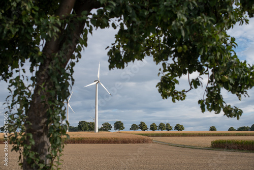 Windräder für erneuerbare Energien in der Abendsonne