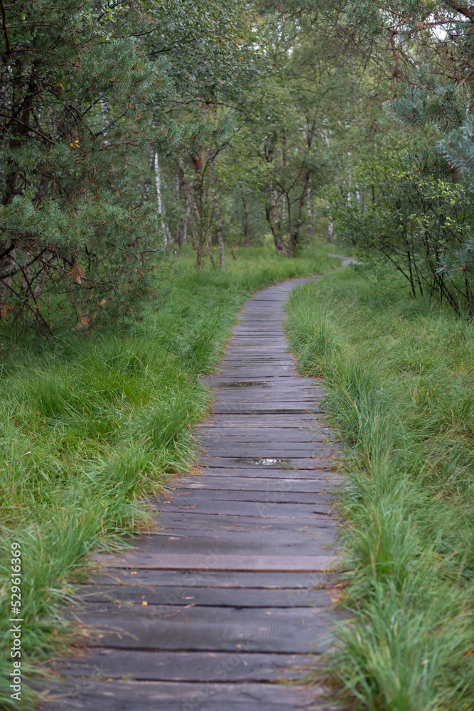 Geschwungener Weg durch ein Morrgebiet im Regen