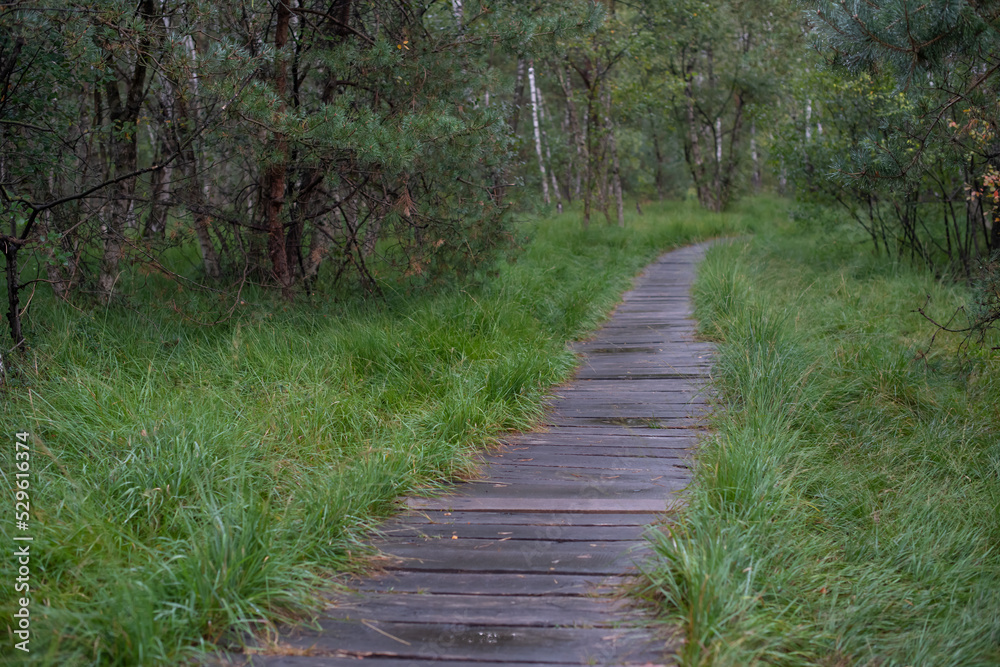 Geschwungener Weg durch ein Morrgebiet im Regen