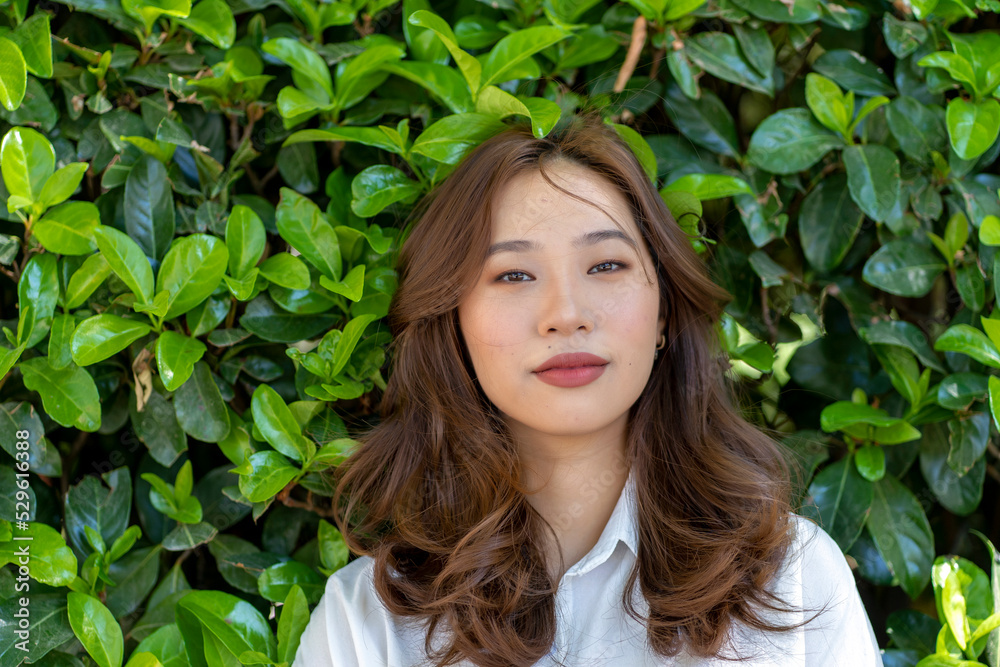 asian woman portrait on green leaves background asian woman portrait on green leaves background