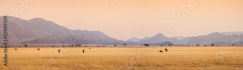 African landscape at sunset with silhouettes of mountains, Antelopes Oryx in savanna. Herd of an Oryxes in grassland in Sesriem valley, Namibia. Wildlife and safari in South Africa, panoramic view.