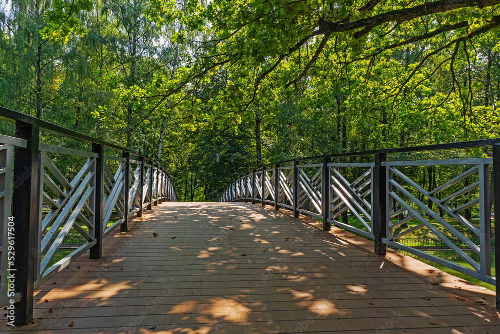 Pedestrian bridge in the park Ivano-Frankivsk city, Ukraine. Metal railings of the bridge. Trees with green leaves and sunlight