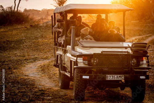 Game drive in a safari jeep at sunrise in the magical Okavango Delta in Botswana. Taken on a wilderness safari in July 2022.