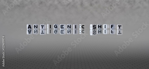 Photography antigenic shift word or concept represented by black and white letter cubes on a