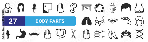 set of 27 outline web body parts icons such as male, brunette female woman long hair, standing human body shape, observing human body details with a magnifier tool, uterus and fallopian tube inside