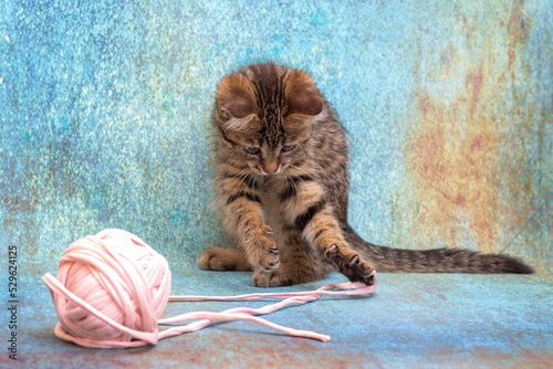 A striped kitten is playing with a large ball of pink braid. Blue background with texture, close-up