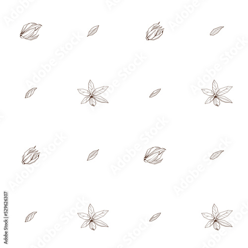 Seamless pattern with Outlined hand drawind geometrical blossoming flower. Ylang-ylang textile vector print photo