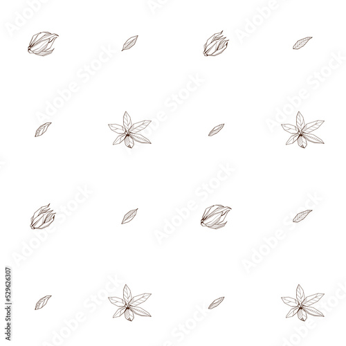 Seamless pattern with Outlined hand drawind geometrical blossoming flower. Ylang-ylang textile vector print