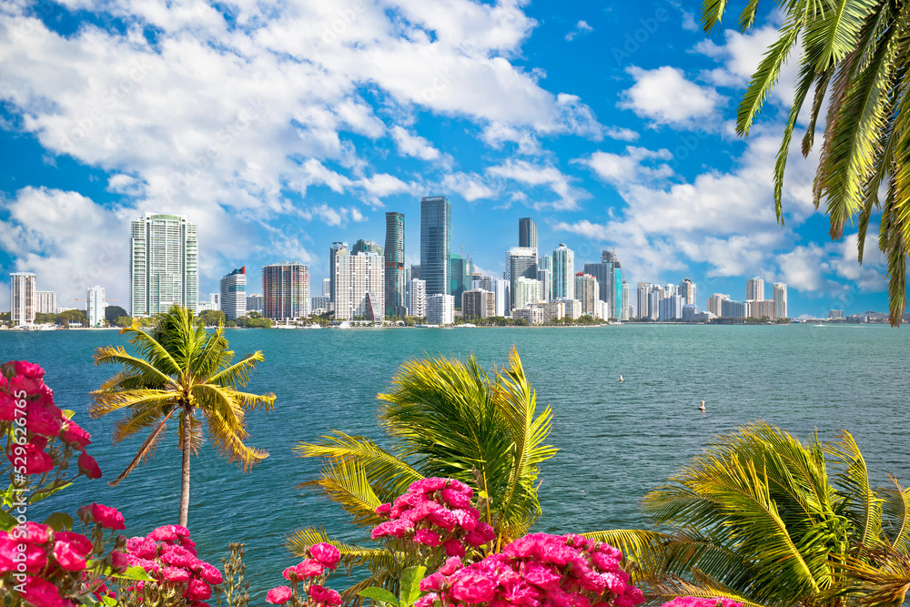 Fototapeta premium Miami waterfront skyline through palms and flowers view