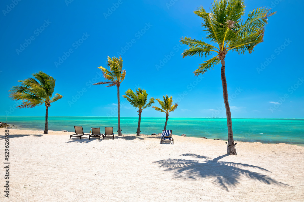 Idyllic white sand beach in Islamorada on Florida Keys