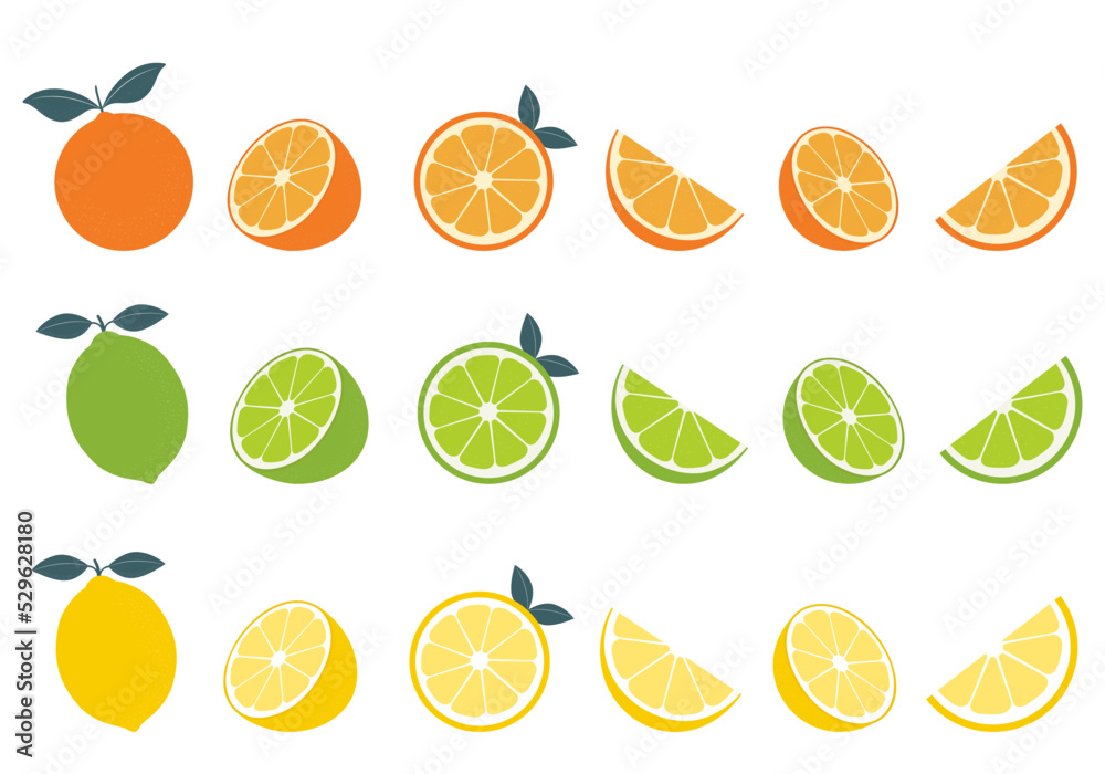 Big vector set of citrus fruits.Orange,lemon and lime icons on white background - obrazy, fototapety, plakaty 