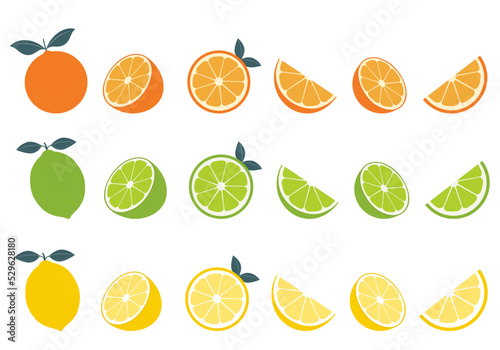 Fototapete Big vector set of citrus fruits