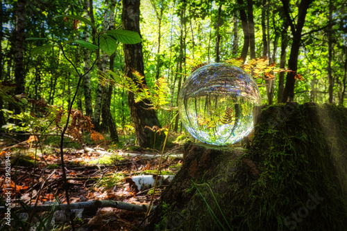 Lensball - Natur - Kristallkugel - Transparenz  - Zerbrechlich - Ecology - Crystal Glass Sphere - Bioeconomy - Creative - Reflection - High quality photo with Copy Space