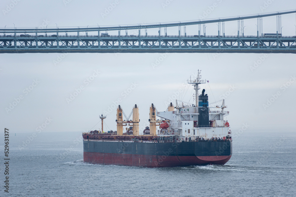 Fototapeta premium Cargo ship, bulk carrier, sailing under the Verrazzano-Narrows Bridge, on her way out of New York Bay.