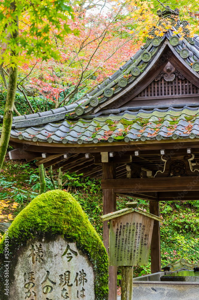京都の紅葉