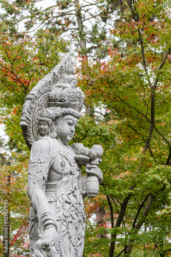 Obraz na płótnie 京都の紅葉 w salonie