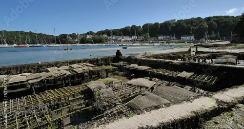 Oysters parks, Riec-sur-Belon, Finistere department, Brittany Region, France photo