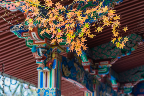Obraz na płótnie 京都の紅葉 w salonie