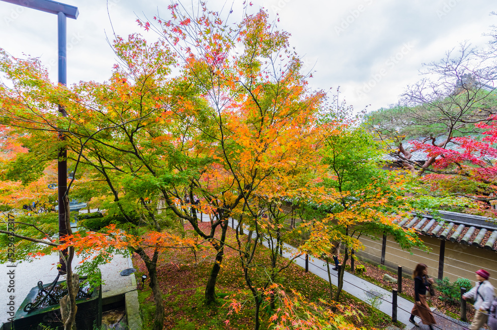 京都の紅葉