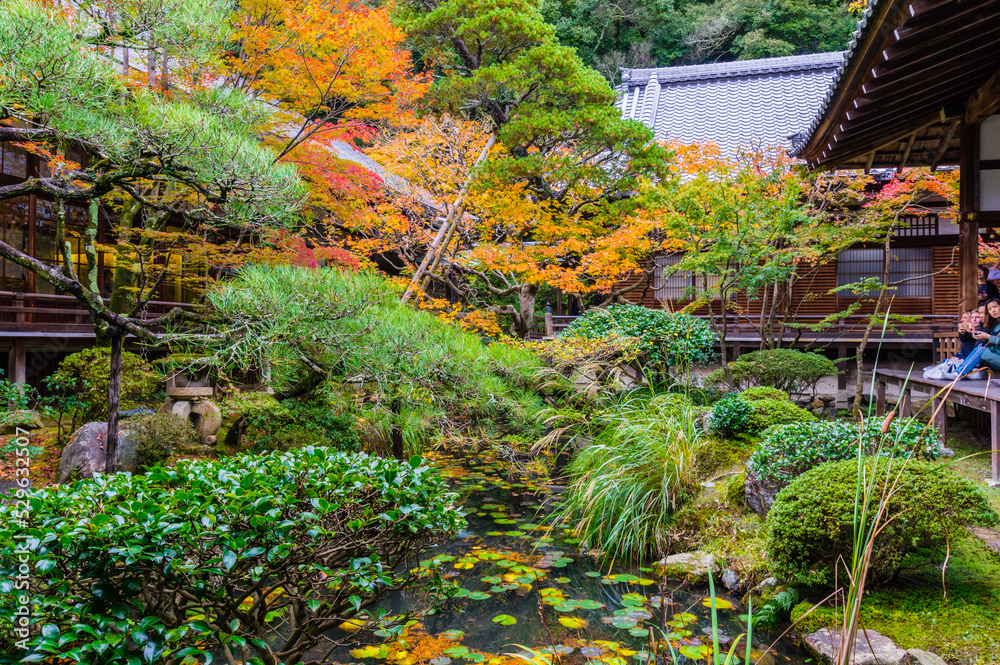 京都の紅葉