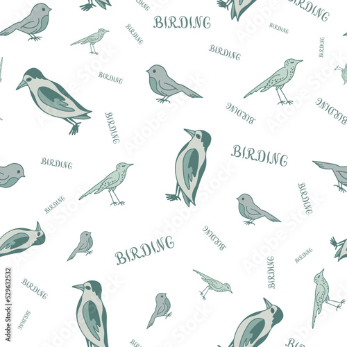 Monochromatic birding seamless pattern. Birds and word Birding.