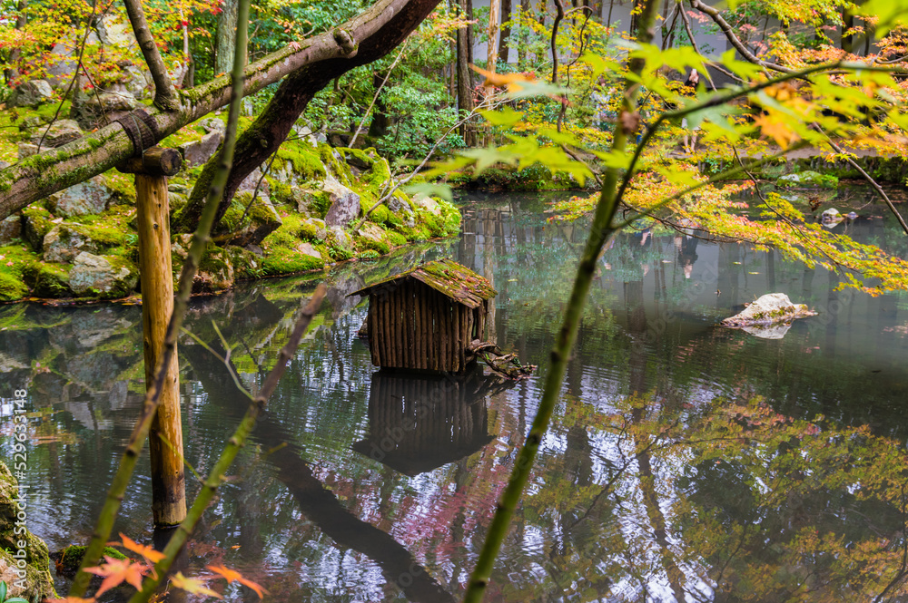 京都の秋