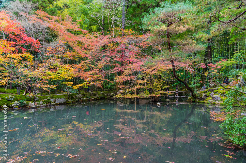 京都の秋