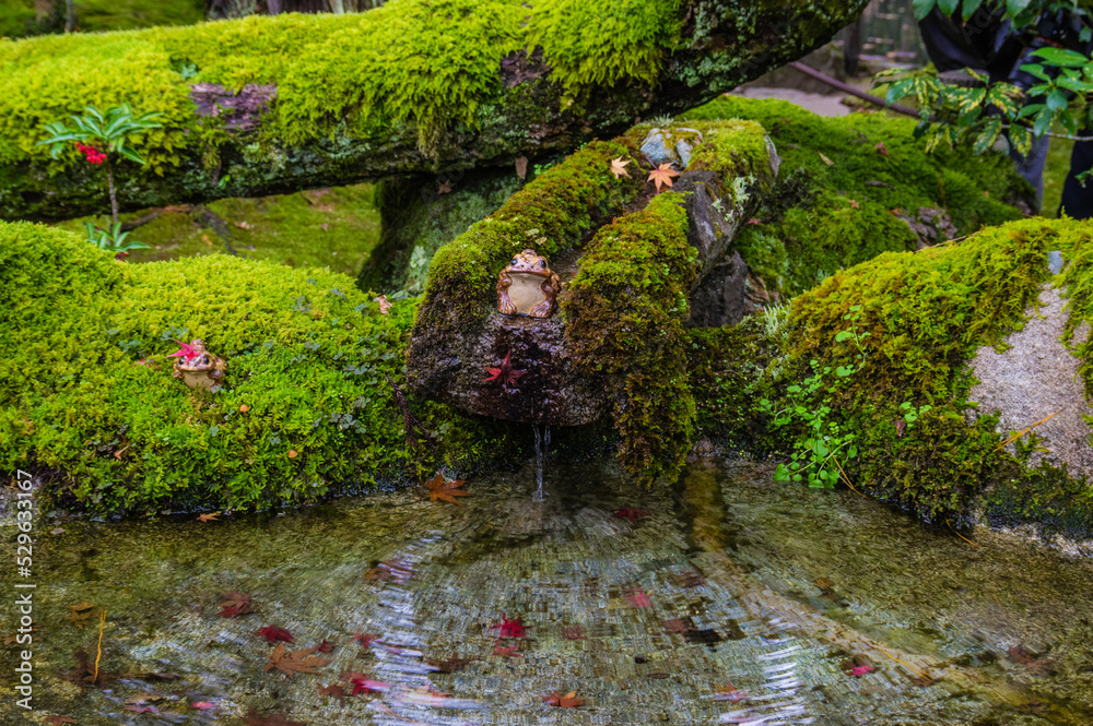京都の秋