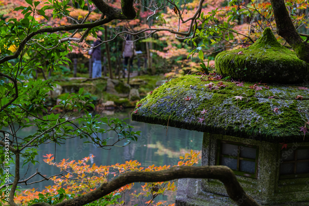 京都の秋