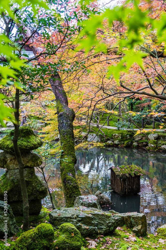 京都の秋