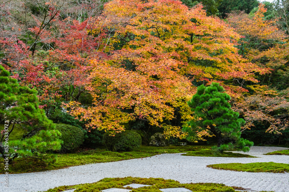 京都の秋