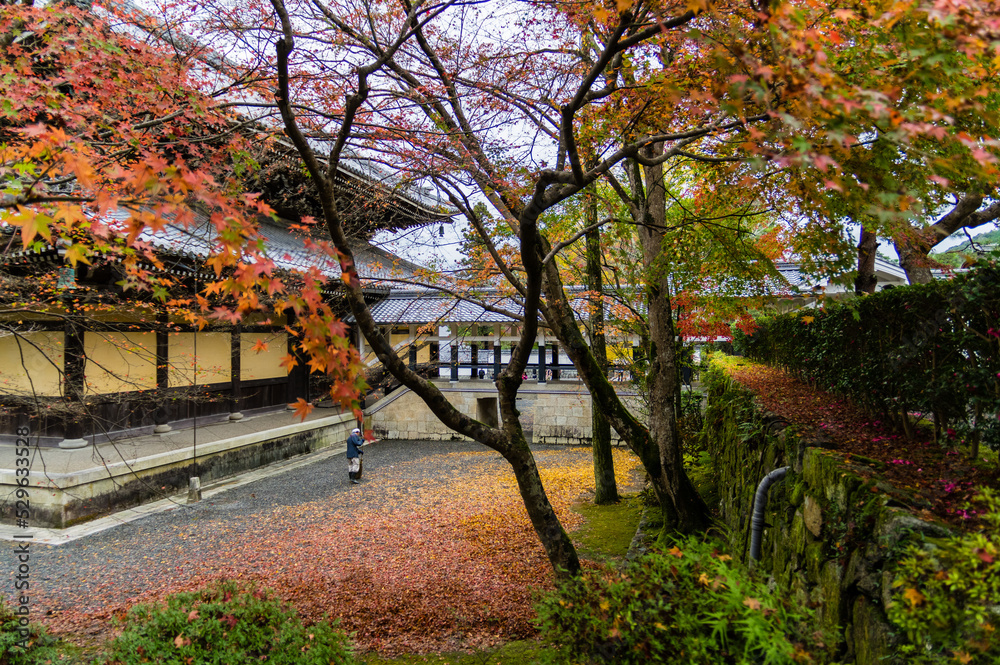 京都の秋