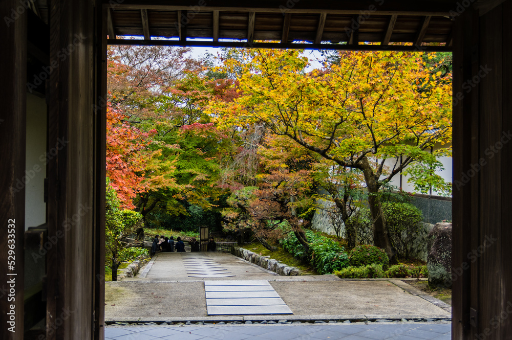 京都の秋