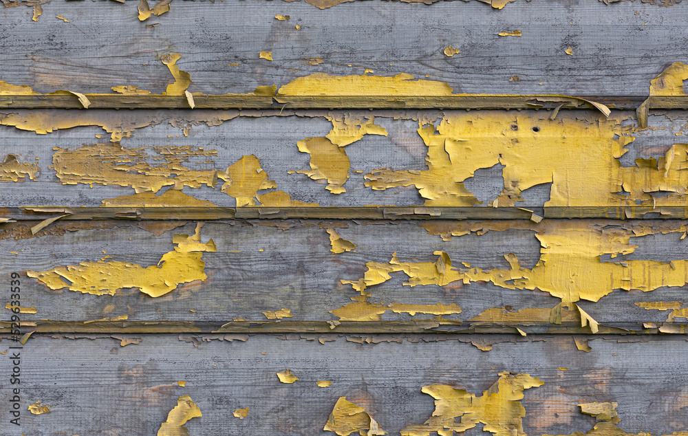 Swollen peeling paint on the old wall background. The rough cracked