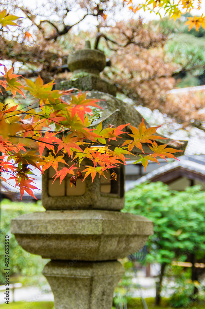 京都の秋