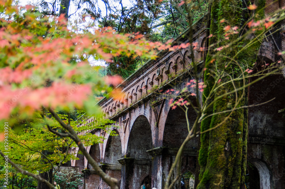 京都の紅葉