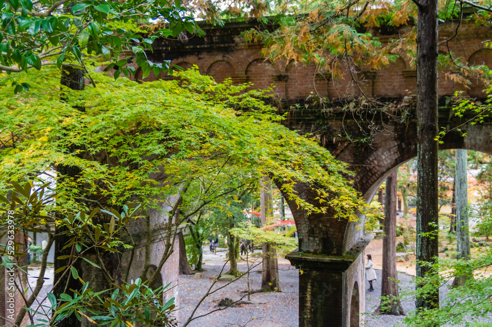 京都の紅葉
