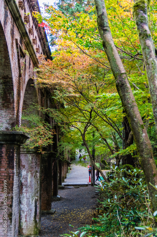 京都の紅葉