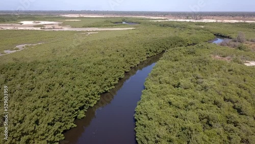 Aerial footage of the backwaters with mangrove trees around Kafountine in Casamance, Senegal, February 2019 photo