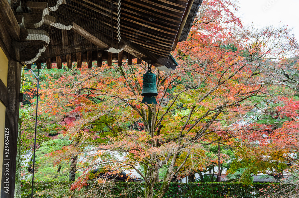 京都の紅葉